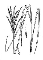 J1774.jpg J1774.jpg