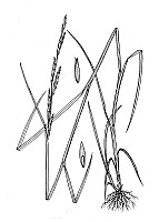J1783.jpg J1783.jpg