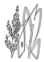 J1785.jpg J1785.jpg