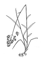 J1788.jpg J1788.jpg