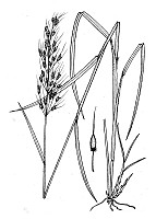 J1789.jpg J1789.jpg
