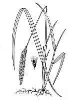 J1791.jpg J1791.jpg