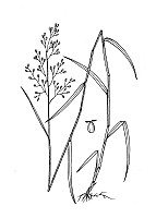 J1792.jpg J1792.jpg