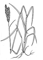 J1794.jpg J1794.jpg