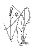 J1795.jpg J1795.jpg
