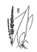 J1796.jpg J1796.jpg
