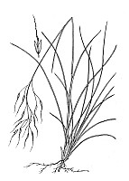 J1797.jpg J1797.jpg