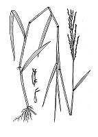 J1798.jpg J1798.jpg