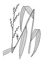 J1800.jpg J1800.jpg