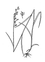 J1801.jpg J1801.jpg