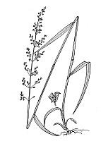 J1805.jpg J1805.jpg