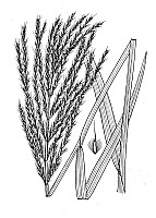 J1811.jpg J1811.jpg