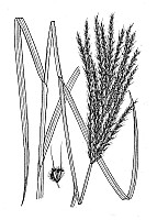 J1814.jpg J1814.jpg