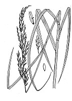 J1815.jpg J1815.jpg
