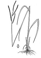 J1824.jpg J1824.jpg