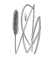 J1825.jpg J1825.jpg