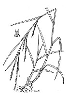 J1827.jpg J1827.jpg