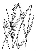 J1828.jpg J1828.jpg