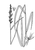 J1829.jpg J1829.jpg