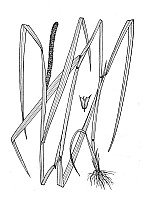 J1832.jpg J1832.jpg