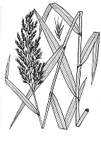 J1833.jpg J1833.jpg