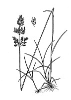J1841.jpg J1841.jpg