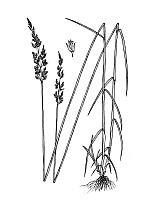 J1844.jpg J1844.jpg