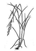 J1848.jpg J1848.jpg