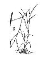 J1850.jpg J1850.jpg