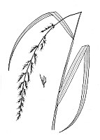 J1851.jpg J1851.jpg