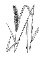 J1852.jpg J1852.jpg