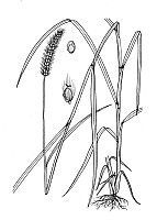 J1853.jpg J1853.jpg