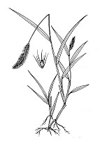 J1854.jpg J1854.jpg