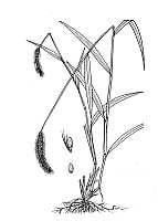 J1856.jpg J1856.jpg