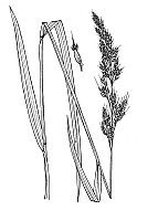 J1857.jpg J1857.jpg