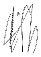 J1858.jpg J1858.jpg