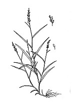 J1859.jpg J1859.jpg