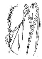 J1860.jpg J1860.jpg