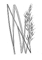 J1861.jpg J1861.jpg
