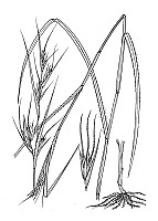 J1863.jpg J1863.jpg