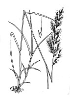 J1864.jpg J1864.jpg