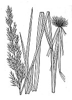 J1866.jpg J1866.jpg