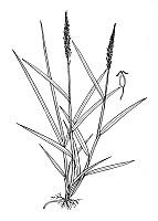J1867.jpg J1867.jpg