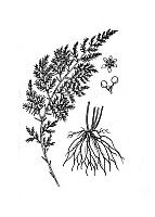 J1869.jpg J1869.jpg