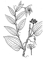 J1874.jpg J1874.jpg