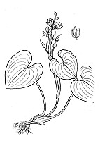 J1876.jpg J1876.jpg