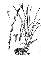 J1878.jpg J1878.jpg