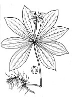 J1879.jpg J1879.jpg