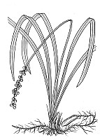 J1882.jpg J1882.jpg