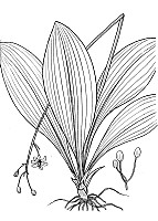 J1887.jpg J1887.jpg